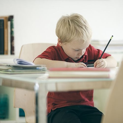 Young Boy Writing